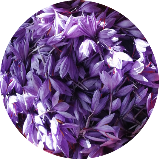 Zafferano