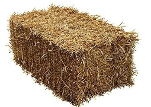 Balletta di paglia di Riso