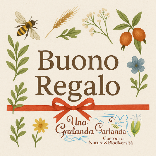 Buono regalo
