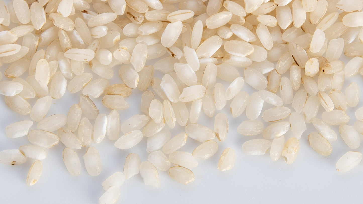 Riso biologico EROICO 2025  Novara