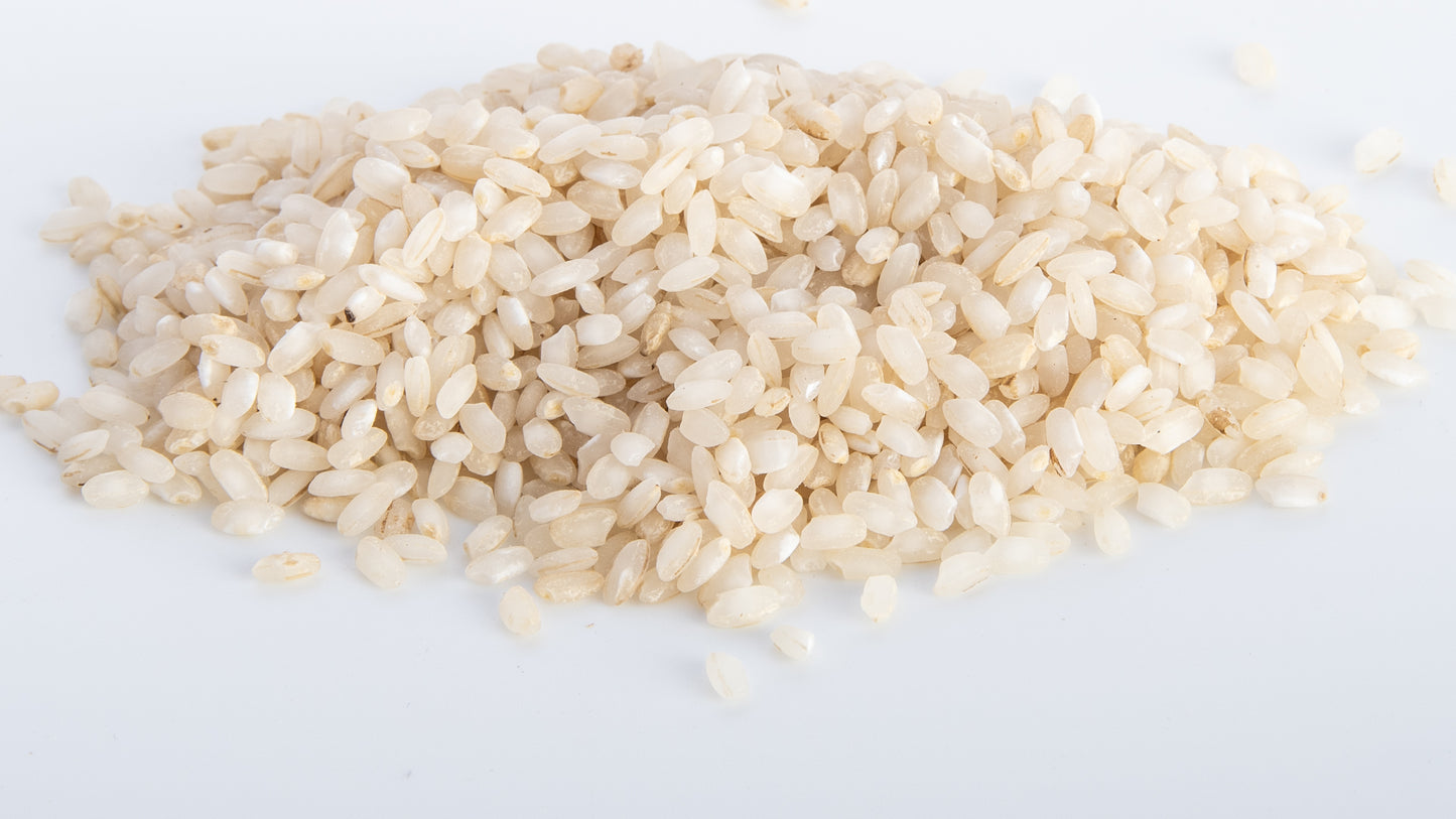 Riso biologico EROICO 2025  Novara