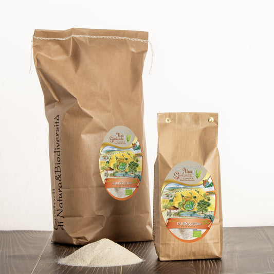 FARINA Integrale di Riso Biologico per POLENTA precotta