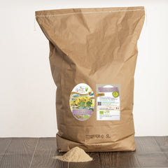 Rice husks